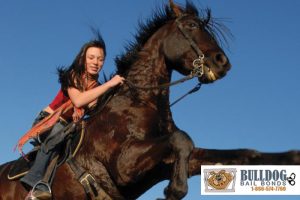 Horseback Riding Laws: Even Horses Have Laws