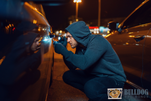 Auto Theft with a Prior Auto Theft Conviction